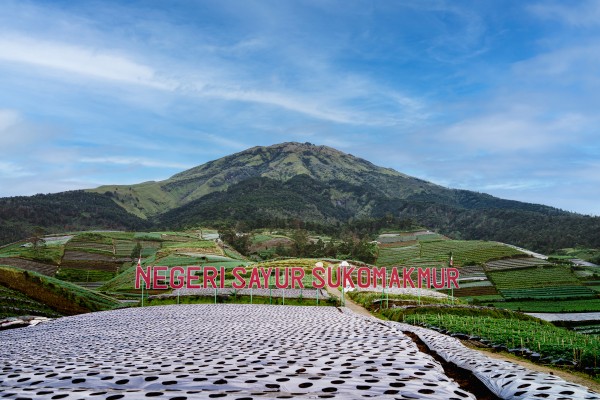 Landscape and Nature